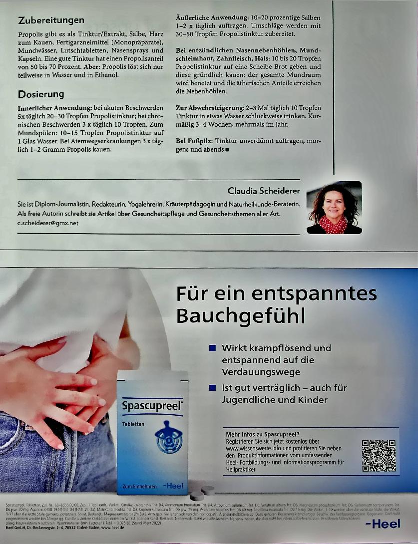 Vorschauseite 5: Heilmittel Propolis: Perfekte Kombination aus Pflanze und Biene