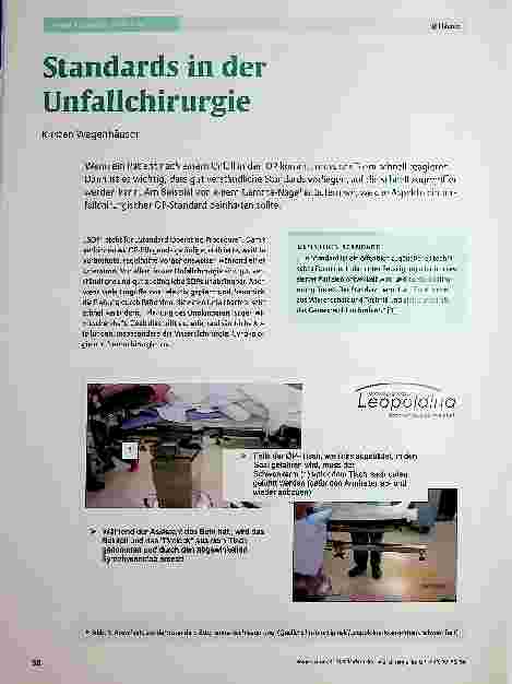 Vorschauseite 1: Standards in der Unfallchirurgie