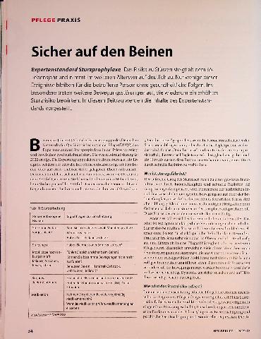 Vorschauseite 1: Sicher auf den Beinen