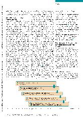 Vorschauseite 2: Den Theorie-Praxis-Transfer kompetenzorientiert gestalten