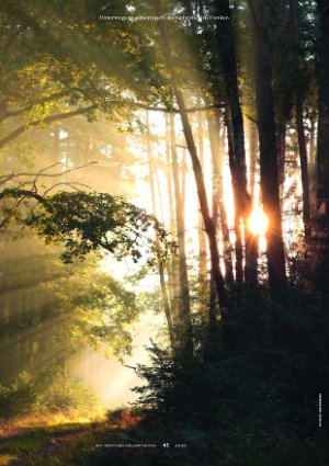 Vorschauseite 2: Ausgerechnet Heidegger