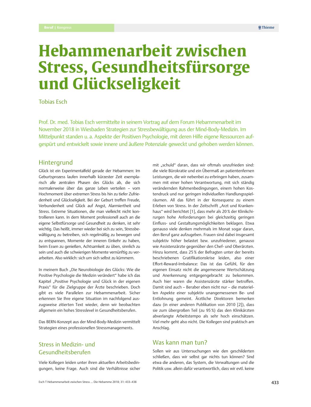 Vorschauseite 1: Hebammenarbeit zwischen Stress, Gesundheitsfürsorge und Glückseligkeit