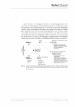 Vorschauseite 6: "Pedagogical Usability" von Augmented Reality zum Thema Elektrik Eine qualitative Studie zum Potenzial des Einsatzes von AR im (naturwissenschaftlich orientierten) Sachunterricht…
