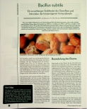 Vorschauseite 1: Bacillus subtilis: Ein zuverlässiger Stabilisator der Darmflora und Stimulator der körpereigenen Immunabwehr