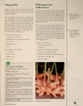 Vorschauseite 2: Der Ingwer - Zingiber officinale