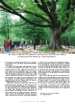 Vorschauseite 3: Ratsuchen bei den Bäumen