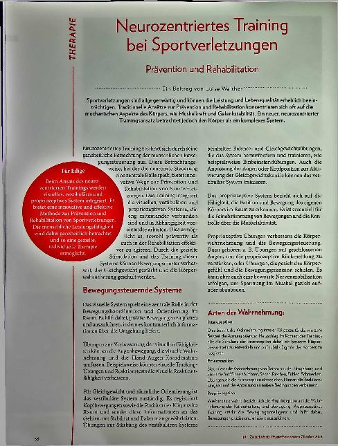 Vorschauseite 1: Neurozentriertes Training bei Sportverletzungen: Prävention und Rehabilitation