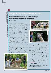 Vorschauseite 1: Tiergestützte Pädagogik mit Alpakas