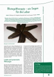 Vorschauseite 1: Blutegeltherapie - ein Segen für die Leber