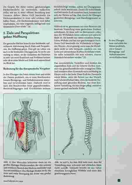 Vorschauseite 3: Rückenbeschwerden: Präventive und therapeutische Möglichkeiten des freien Atmens