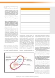 Vorschauseite 3: Lokale antimikrobielle Wundtherapie mit Silber: Interdisziplinarität, sachliche Kooperation und Kontinuität für eine bessere Wundtherapie