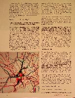 Vorschauseite 3: Updates 3-2023