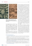 Vorschauseite 6: Die Herzog August Bibliothek als „Barockbibliothek“: Zu 50 Jahren Barockforschung und Forschungsbibliothek.