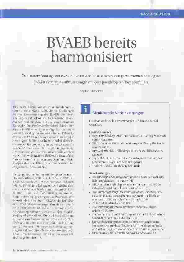 Vorschauseite 1: BVAEB bereits harmonisiert