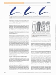 Vorschauseite 5: Nahtmaterialien: Beschaffenheit und Anwendungsgebiete