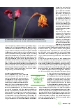 Vorschauseite 2: Auf Pflege und Begleitung am Lebensende haben alle ein Anrecht.