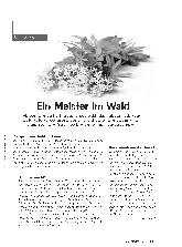Vorschauseite 1: Ein Meister im Wald