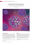 Vorschauseite 1: Merkelzell-Polyomavirus Auslöser des bösartigen Merkelzell-Karzinoms