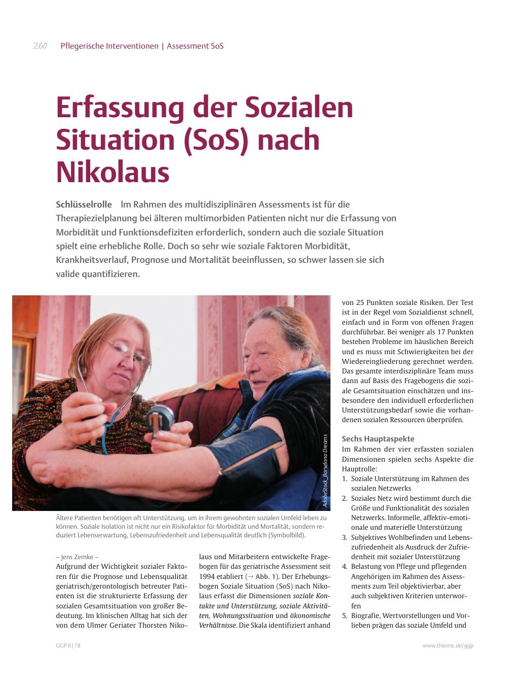 Vorschauseite 1: Erfassung der Sozialen Situation (SoS) nach Nikolaus