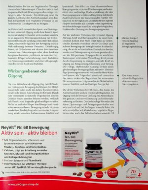 Vorschauseite 2: Im Fluss Qigong aus sportmedizinischer Sicht