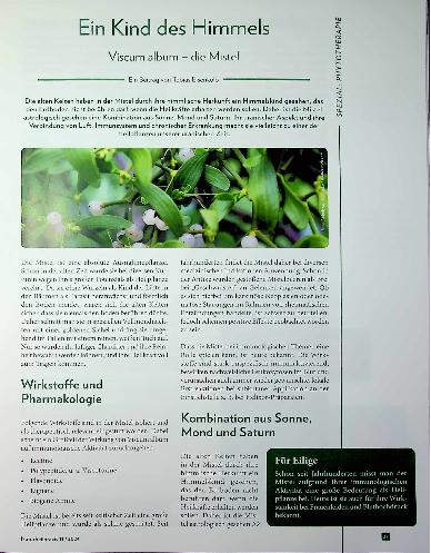 Vorschauseite 1: Ein Kind des Himmels? Viscum album - die Mistel