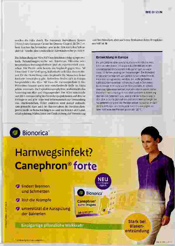 Vorschauseite 4: Mit der Stechmücke auf Vormarsch