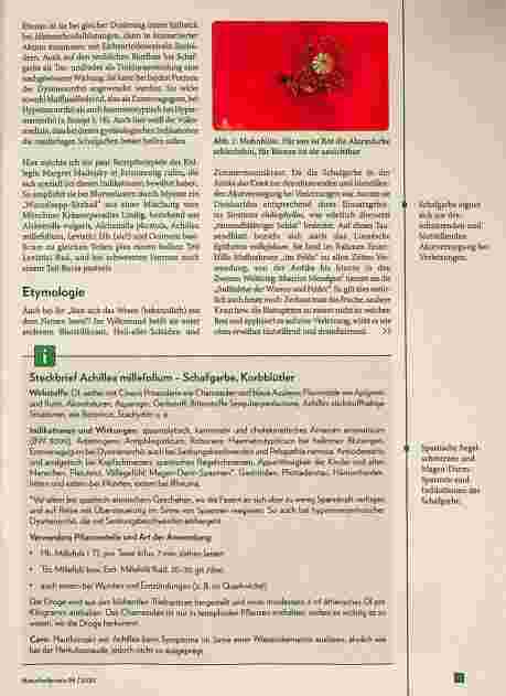 Vorschauseite 2: Achillea millefolium als Hämostyptikum