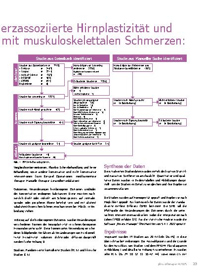 Vorschauseite 2: Die Effekte von Bewegung auf schmerzassoziierte Hirnplastizität und endogene Substanzen bei Patienten mit muskuloskelettalen Schmerzen: