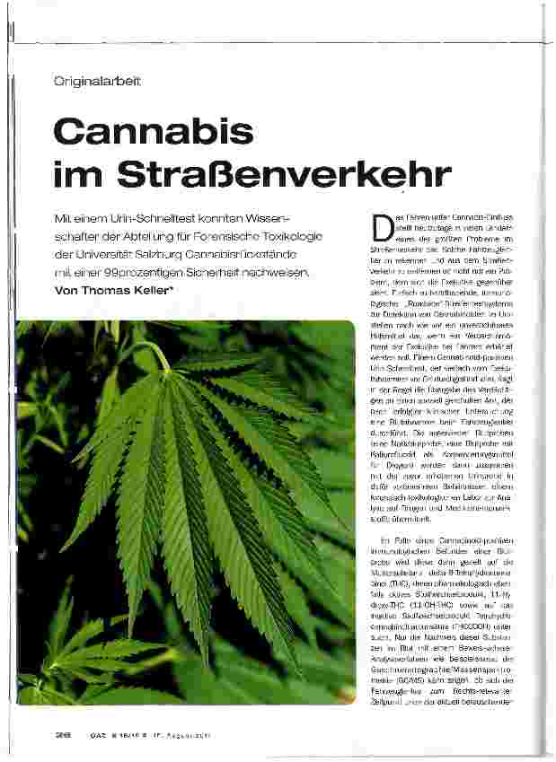 Vorschauseite 1: Cannabis im Straßenverkehr
