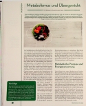 Vorschauseite 1: Metabolismus und Übergewicht