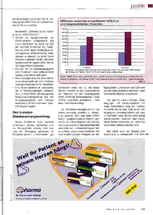 Vorschauseite 2: Gesundheitsreform konkret am Beispiel COPD