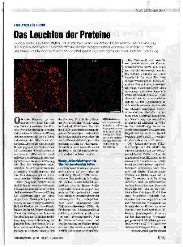 Vorschauseite 1: Das Leuchten der Proteine