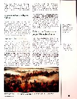 Vorschauseite 2: WalkAway - Jugendliche auf dem Weg zu sich selbst Ein naturpädagogisches Übergangsritual für unsere moderne Gesellschaft