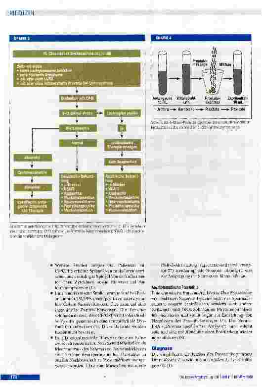 Vorschauseite 4: Prostatitis und männliches Beckenschmerzsyndrom