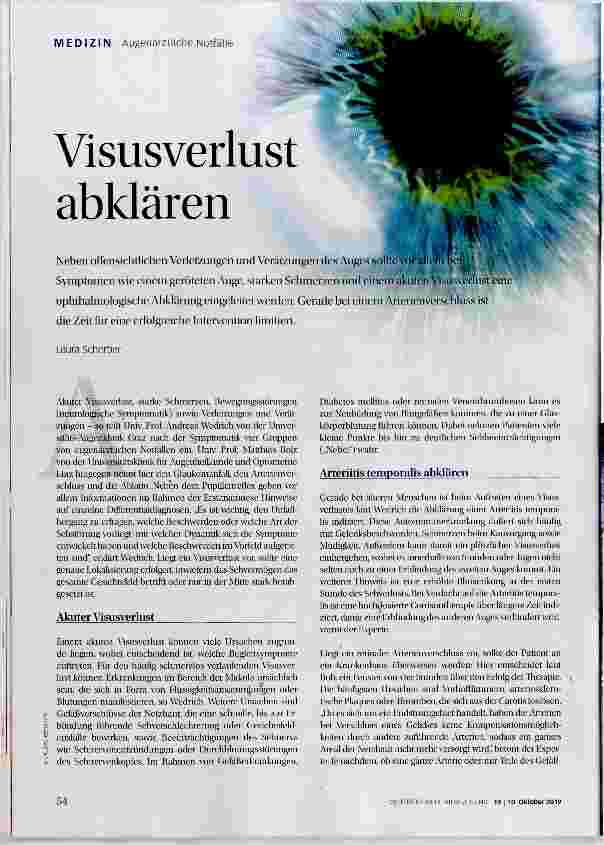Vorschauseite 1: Visusverlust abklären