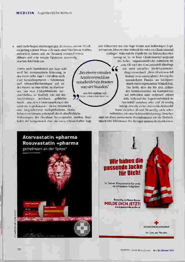 Vorschauseite 3: Visusverlust abklären