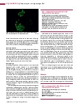 Vorschauseite 3: Pneumocystis - ein eigenartiger Pilz!