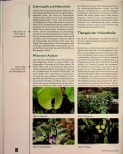 Vorschauseite 3: Biorhythmus - diagnostischer und therapeutischer Nutzen