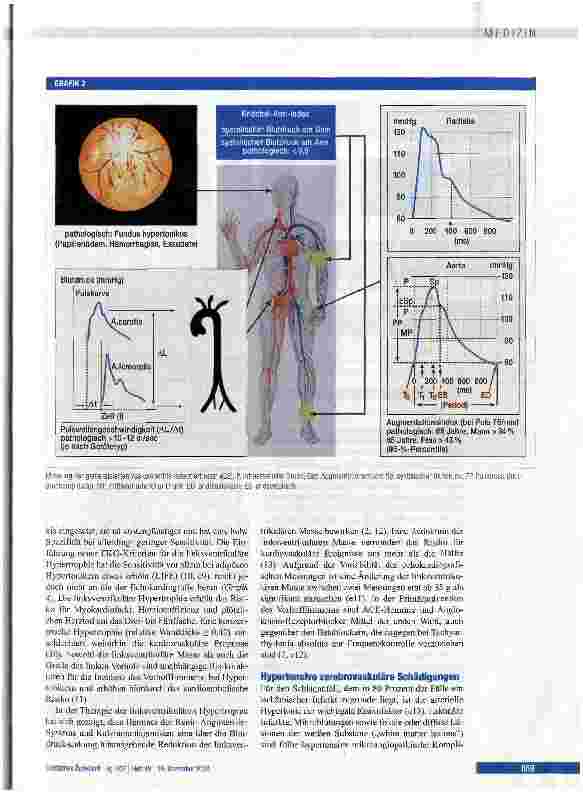 Vorschauseite 4: Hypertoniebedingte Endorganschäden