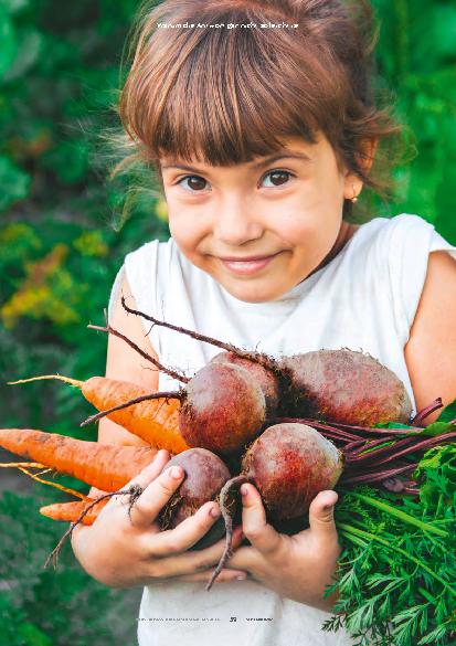 Vorschauseite 2: Wie gesund ist Bio?
