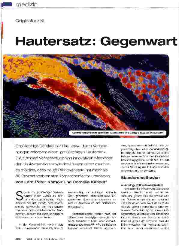 Vorschauseite 1: Hautersatz: Gegenwart und Zukunft
