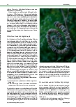 Vorschauseite 2: Ein gutes Leben macht Sinn: Was es braucht, um das Dasein als erfüllt zu erleben