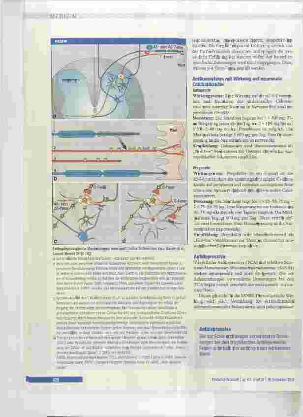 Vorschauseite 5: Pharmakotherapie chronischer neuropathischer Schmerzen