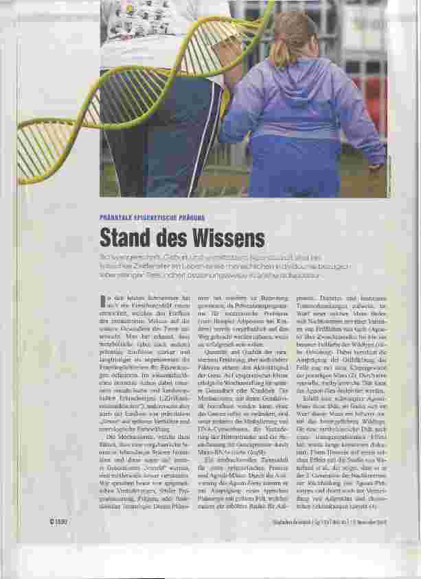 Vorschauseite 1: Stand des Wissens