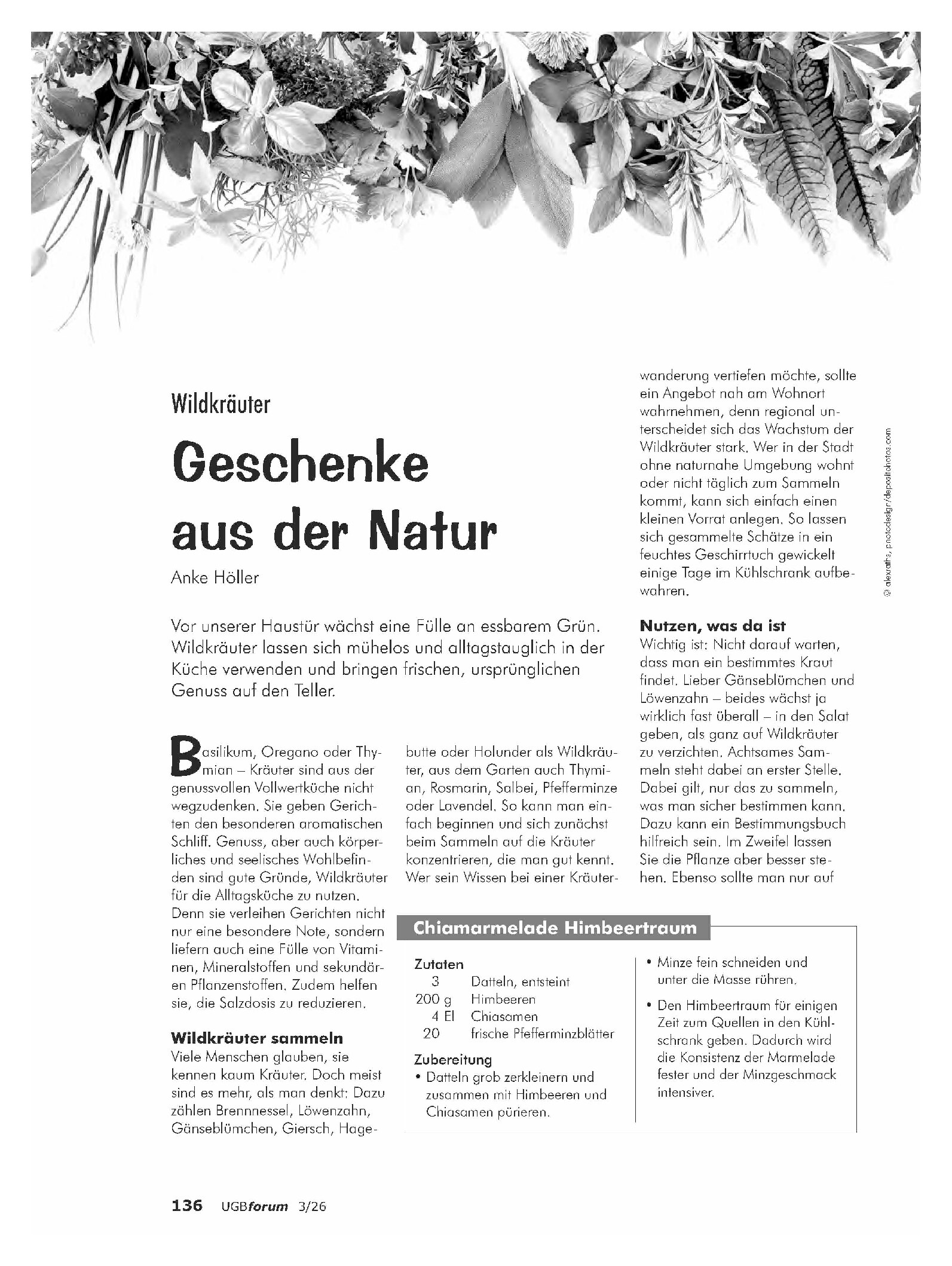 Vorschauseite 1: Wildkräuter. Geschenke aus der Natur