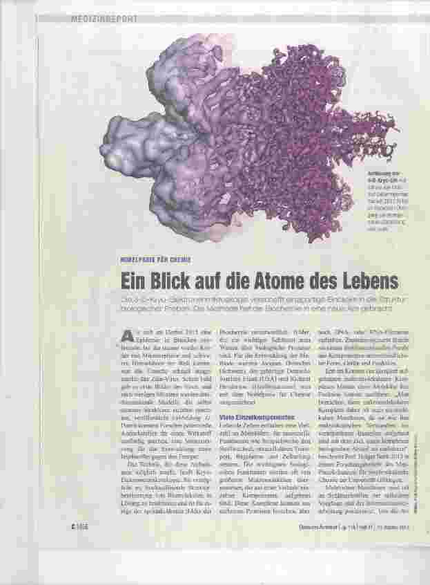Vorschauseite 1: Ein Blick auf die Atome des Lebens