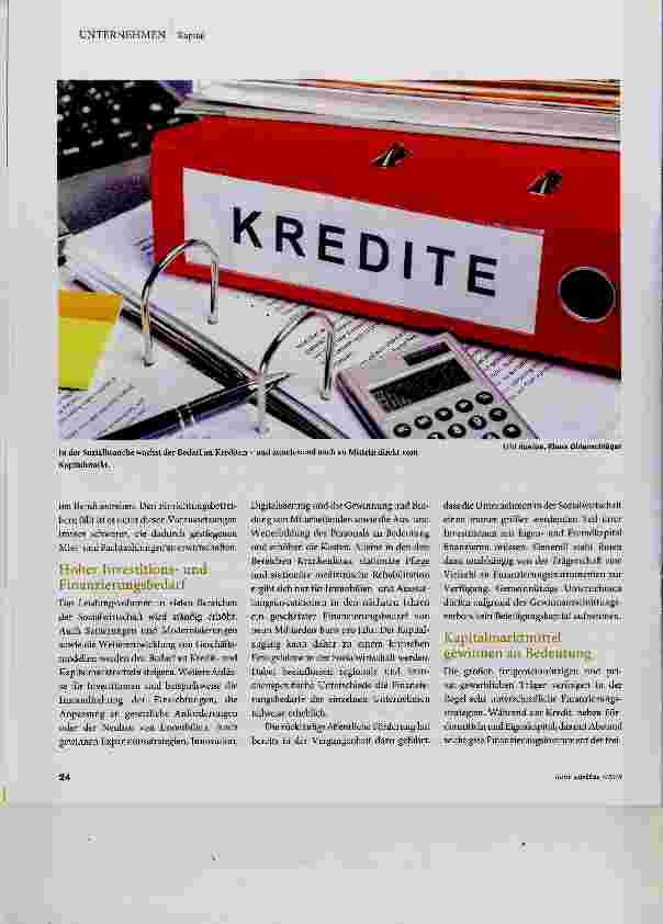 Vorschauseite 2: Der Zugang zu Kapital als kritischer Erfolgsfaktor