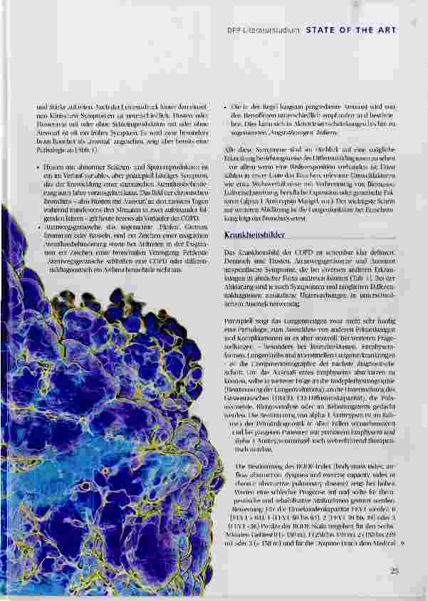 Vorschauseite 2: COPD