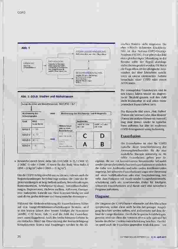 Vorschauseite 3: COPD