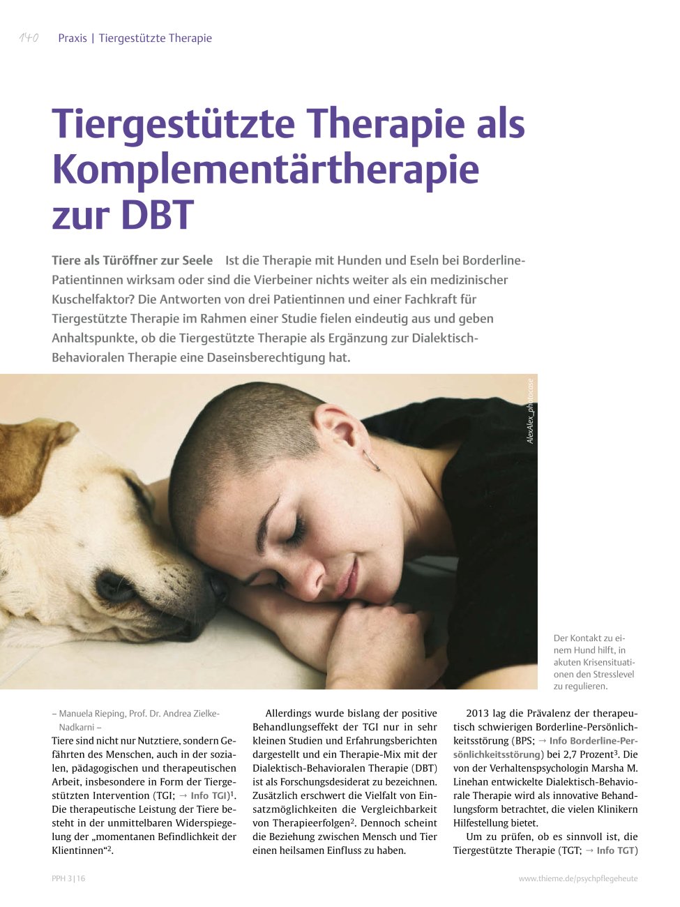 Vorschauseite 1: Tiergestützte Therapie als Komplementärtherapie zur DBT